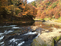 馬淵川河畔