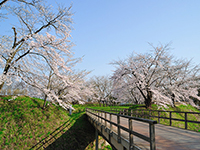 九戸城跡
