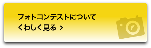 フォトコンテストについてくわしく見る