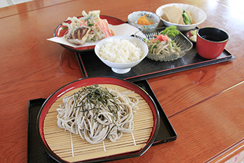 ごはん_119_田舎の家_01_MG_3171_トリ補_s