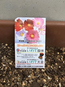 b787d9676279c3fd70d0