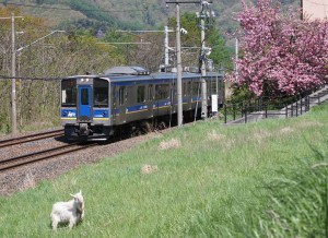 b23431e17cb453ad31a6