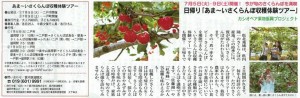 カシオペア連邦の果物を知らずして いわての果物を語るなかれ いわてのてっぺん Japanの郷 にのへ