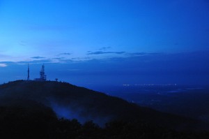 resize0290