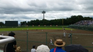 d79d331944db34e70a1c