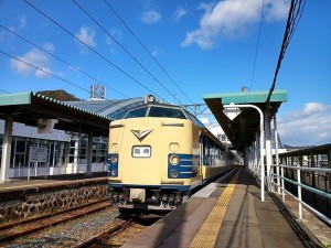 50468a23379ec49594e8