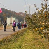 岩手にのへ🌸おさんぽ日和～神無月の会～　～終了しました～