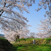 史跡九戸城跡が「続日本１００名城」に選定されました！！