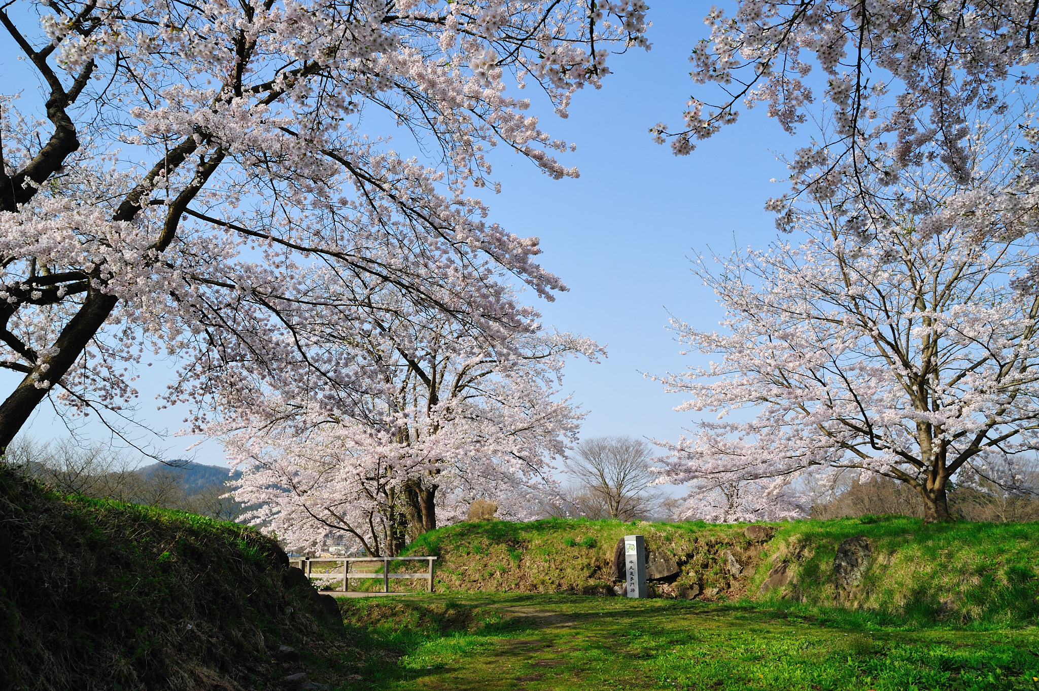 史跡九戸城跡が「続日本100名城」に選定されました！！｜新着情報・お知らせ いわてのてっぺん「japanの郷 にのへ」