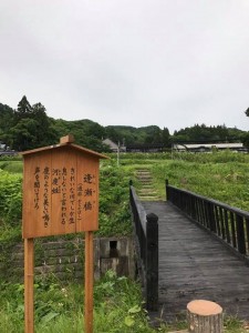 89db056863c3053d9a2c