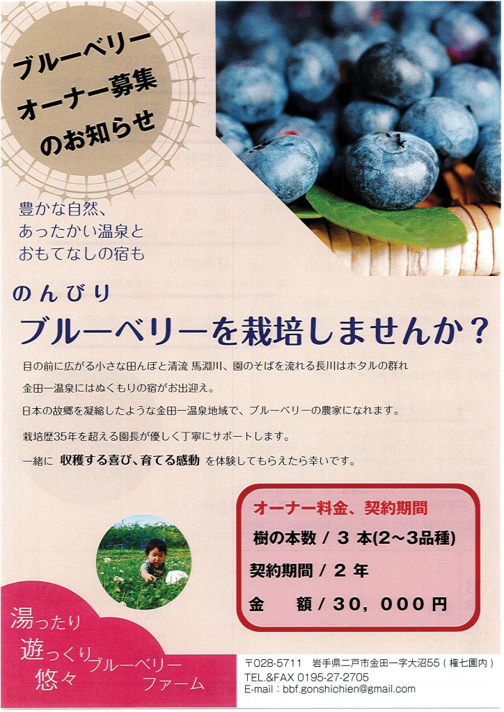 ブルーベリー
