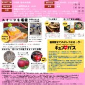 ＩＧＲいわて銀河鉄道で行く　ぎんが列車　北いわてよくばり号 のご案内