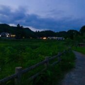 金田一温泉博覧会～ユダオンパク2025～ホタル鑑賞会について