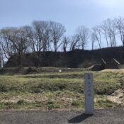 九戸城がお城EXPO2025 へ出展します！