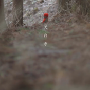 「語り継ぐ1300年 みちのく古刹天台寺」動画配信のお知らせ