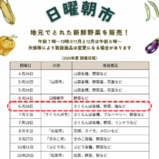 【日曜朝市】開催のお知らせ