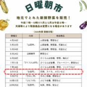【日曜朝市】開催のお知らせ